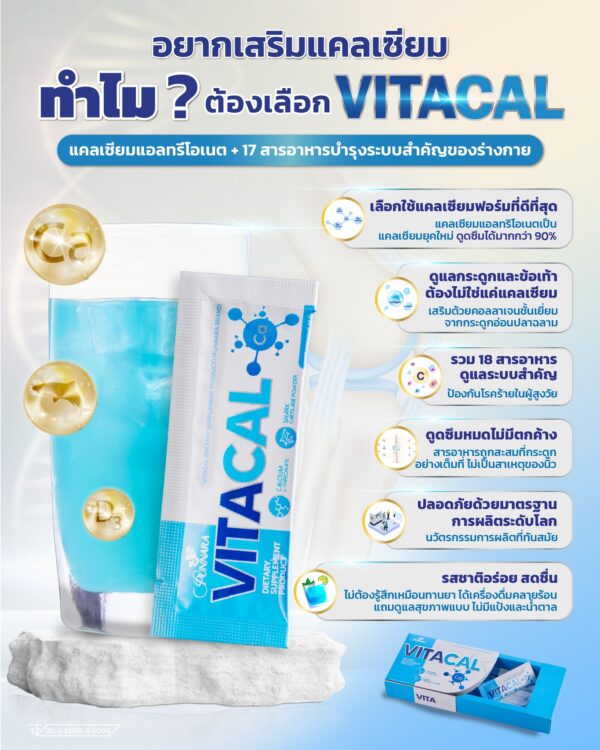 VitaCal - Image 4