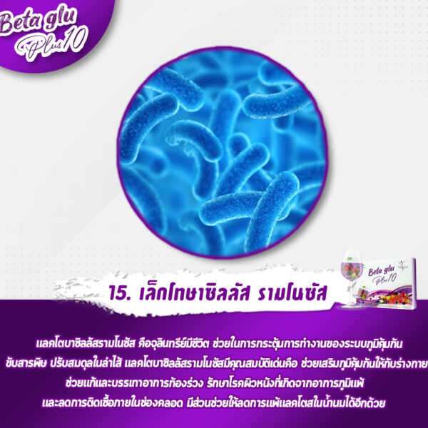 Artboard 15